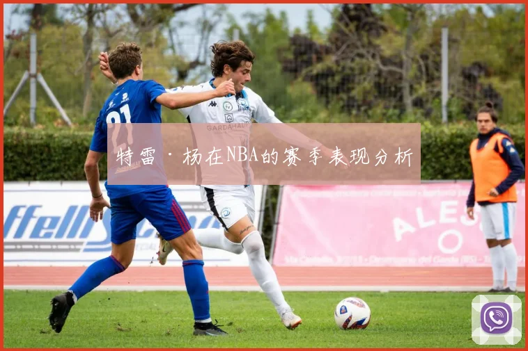 特雷·杨在NBA的赛季表现分析