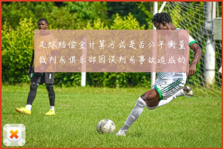 足球赔偿金计算方式是否公平衡量裁判或俱乐部因误判或事故造成的经济损失