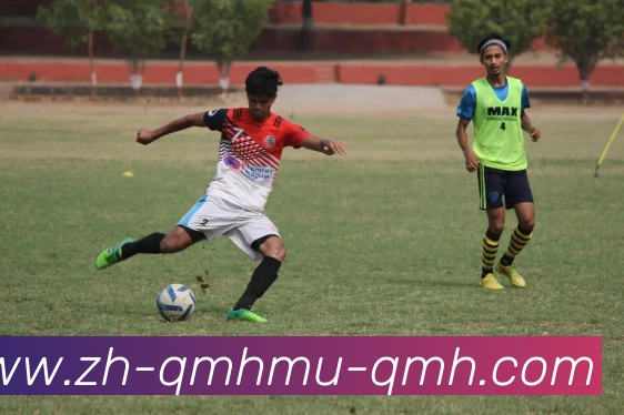 球盟会平台生态图